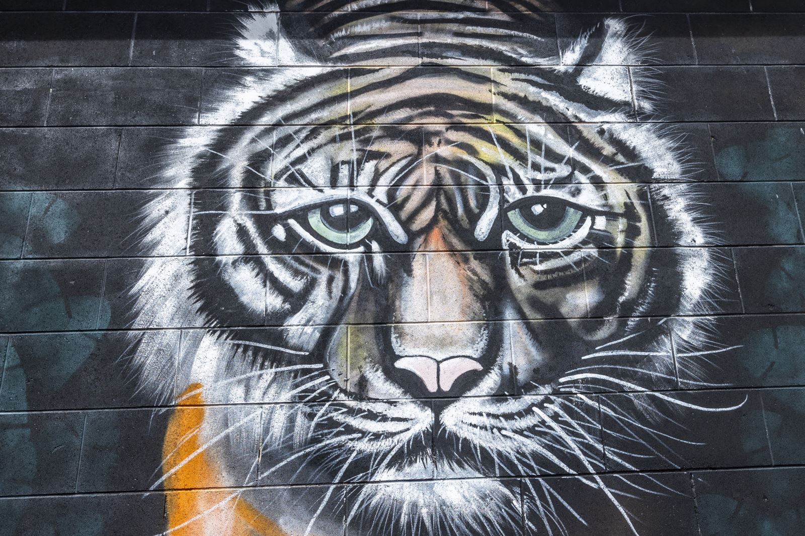 Street art of a tiger's face painted on a brick wall